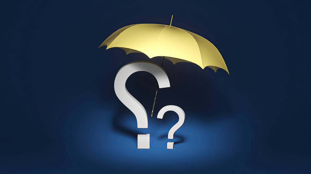yacht owner reviewing luxury cruise package insurance documents on deck